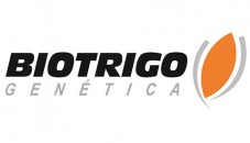 Biotrigo